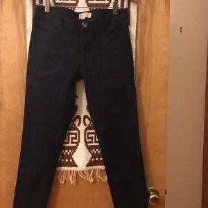 Banana Republic Navy Skinny Leg Jeans